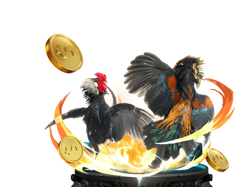 Trận đá gà kịch tính tại Daga68 Cổng Game Chính Thức